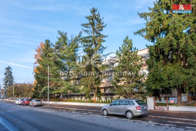 Prodej, Byt 1+kk, Praha