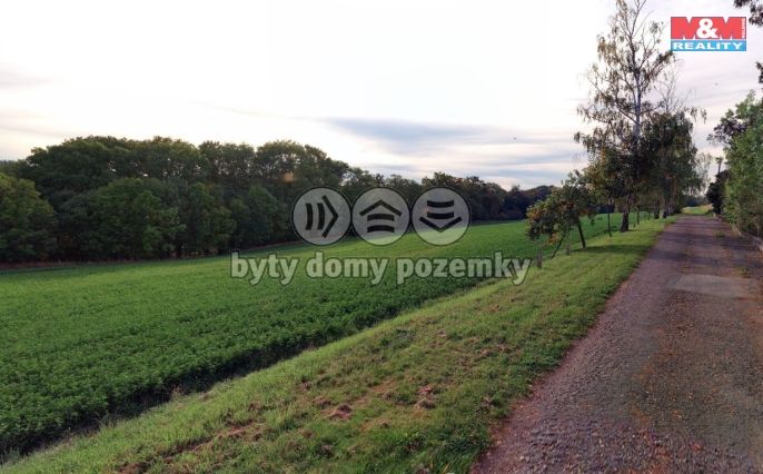 Prodej, Pole, Bratčice