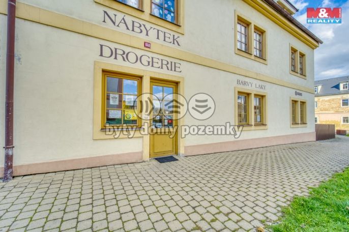 Pronájem, Obchod a služby, Bor