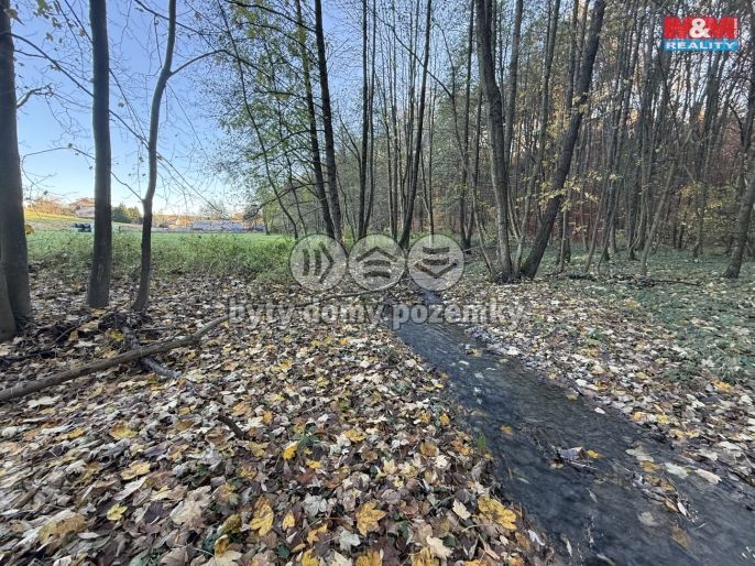 Prodej, Les, Velká Polom