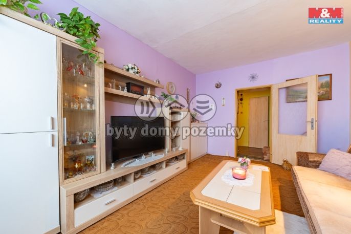 Prodej, Byt 3+1, Aš