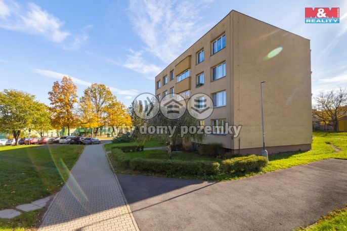 Prodej, Byt 1+1, Ostrava