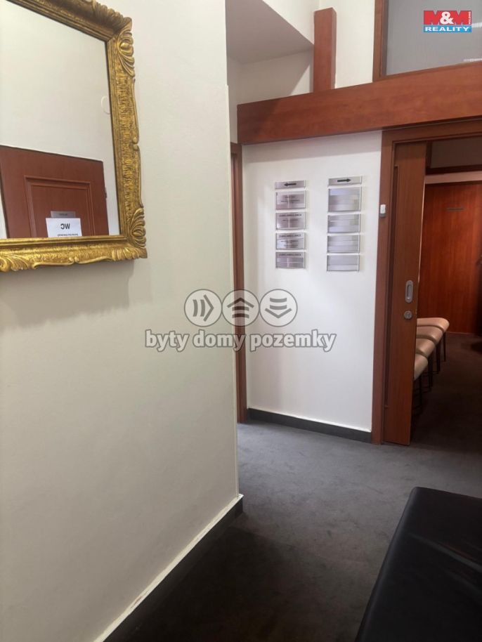 Pronájem, Ostatní, Brno