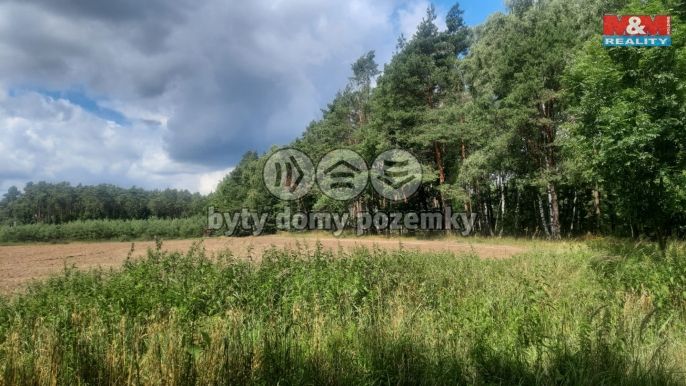 Prodej, Les, Březovice