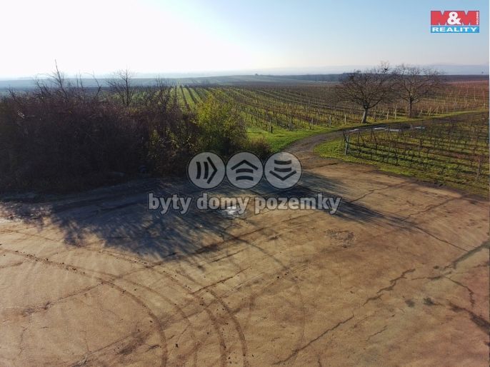 Prodej, Vinice, Velké Bílovice