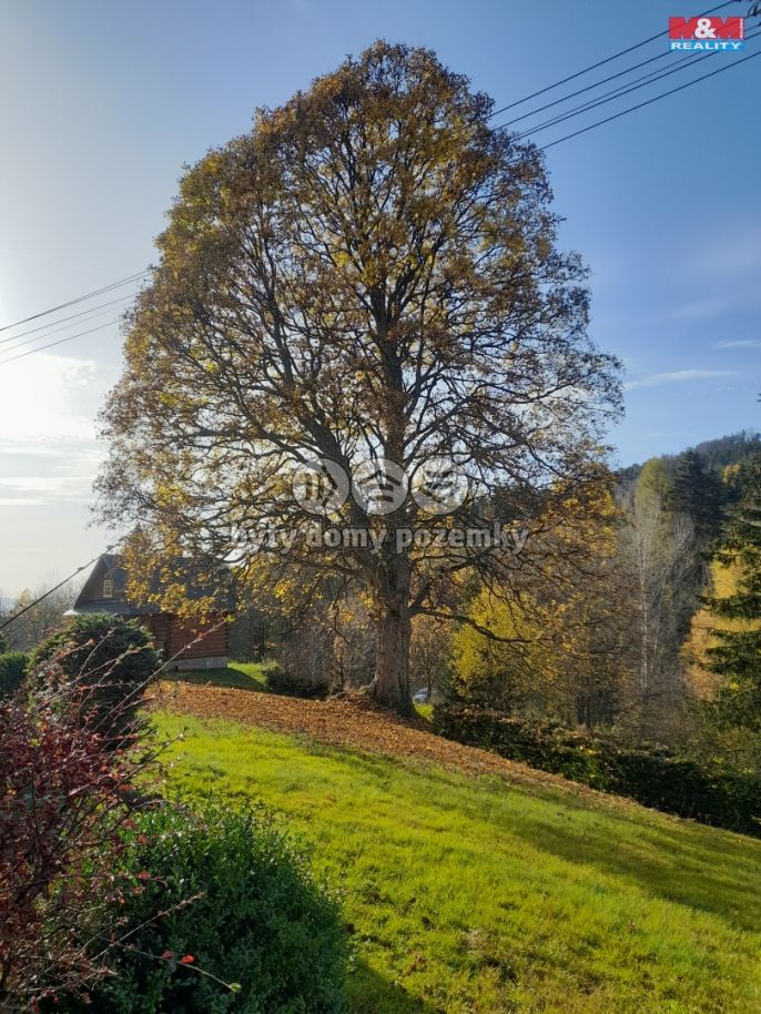 Prodej, Chata, Malá Morava