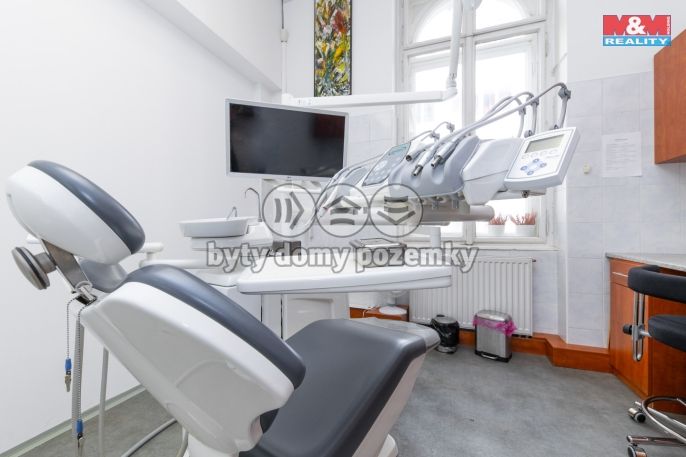 Pronájem, Ostatní, Brno