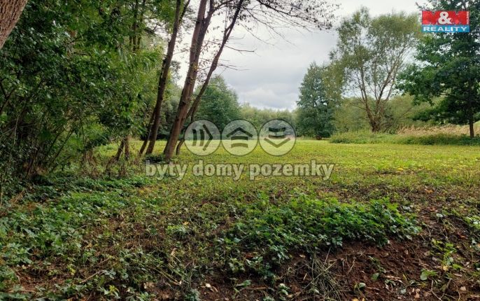 Prodej, Louka, Bystřice