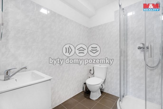 Pronájem, Byt 1+kk, Plazy