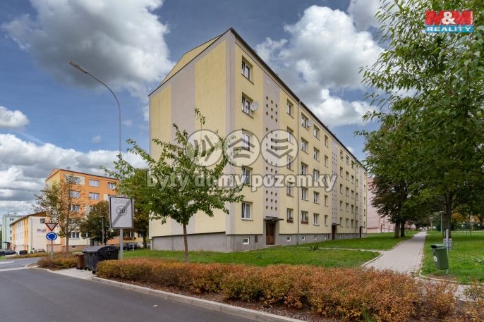 Prodej, Byt 2+1, Ostrov