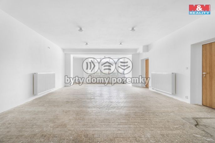 Prodej, Hotel, penzion, Borušov