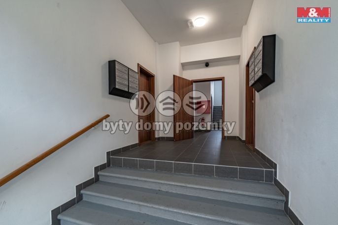 Pronájem, Byt 3+kk, Luby