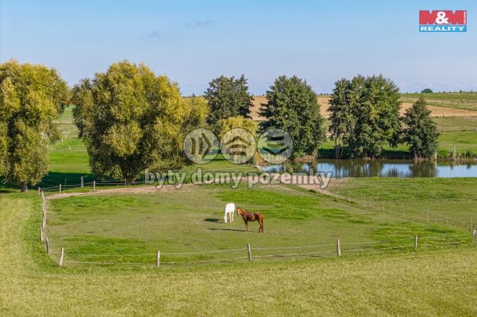 Prodej, Pozemek k bydlení, Zásmuky