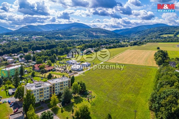Prodej, Byt 3+1, Raškovice