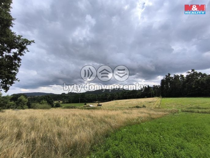 Prodej, Louka, Radošovice