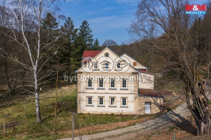 Prodej, Hotel, penzion, Petrovice