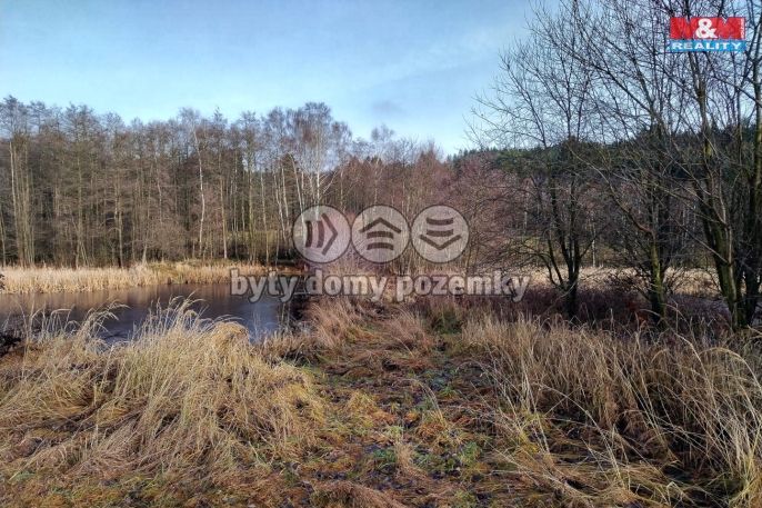 Prodej, Vodní plocha, Velká Losenice