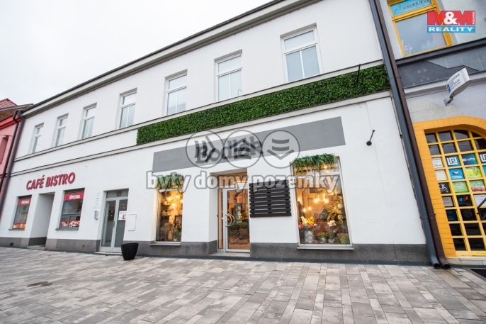 Pronájem, Obchod a služby, Pardubice