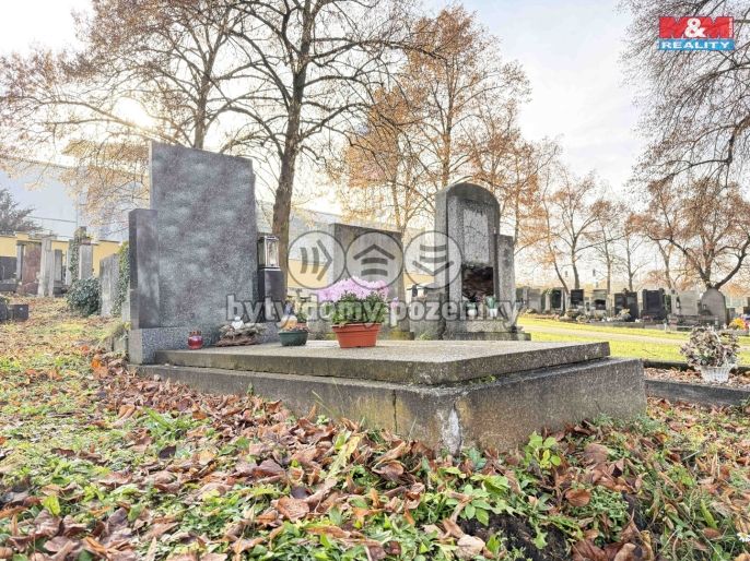 Prodej, Ostatní, Plzeň