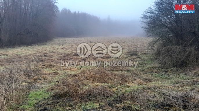 Prodej, Louka, Oselce