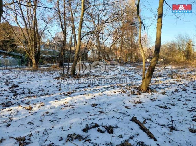 Prodej, Zahrada, Kořenice