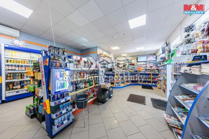 Prodej, Obchod a služby, Nová Role