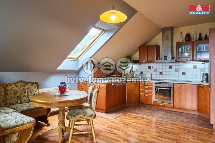 Prodej, Hotel, penzion, Nová Ves nad Nisou