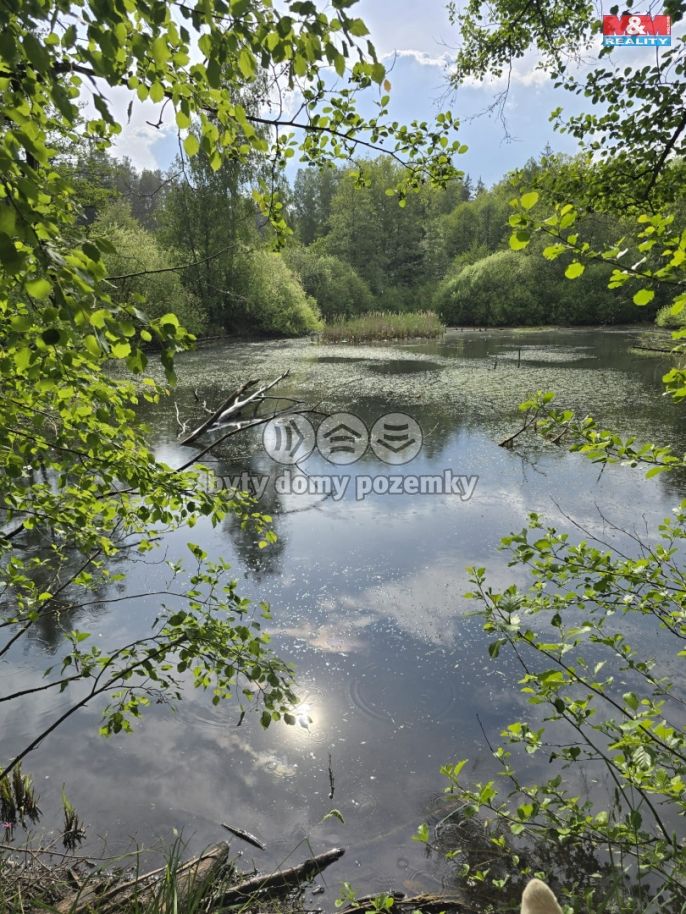 Prodej, Vodní plocha, Obory