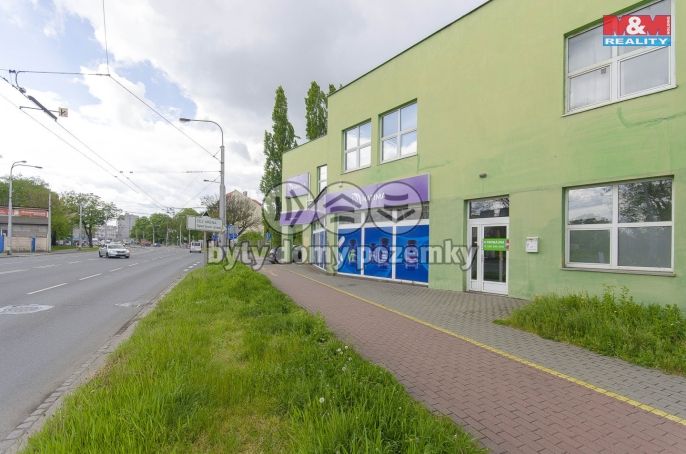 Pronájem, Ostatní, Ostrava