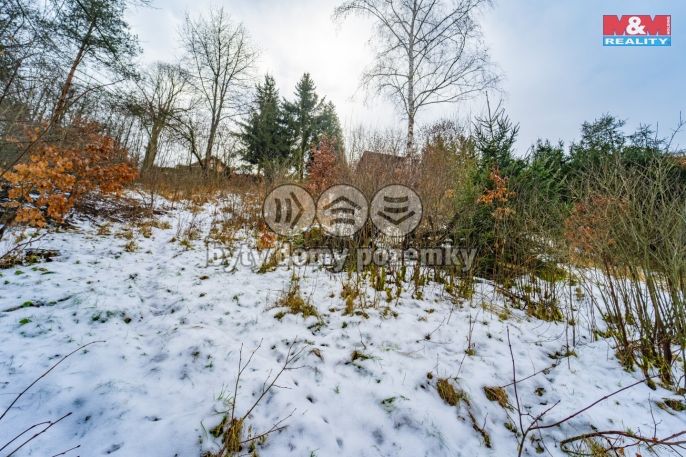 Prodej, Zahrada, Plasy