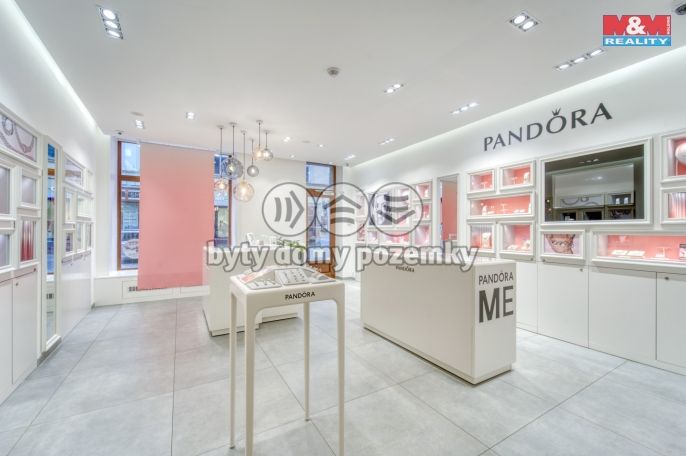 Pronájem, Obchod a služby, Plzeň