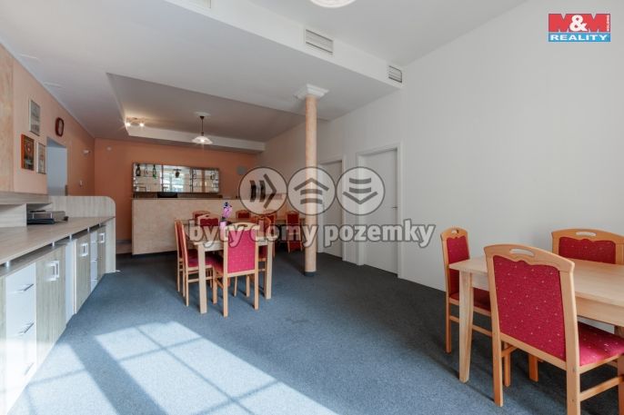 Prodej, Hotel, penzion, Františkovy Lázně