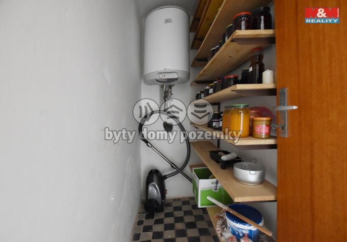 Pronájem, Rodinný dům, Mlázovice