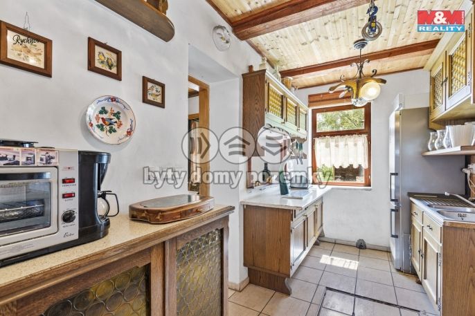 Prodej, Hotel, penzion, Orlické Záhoří