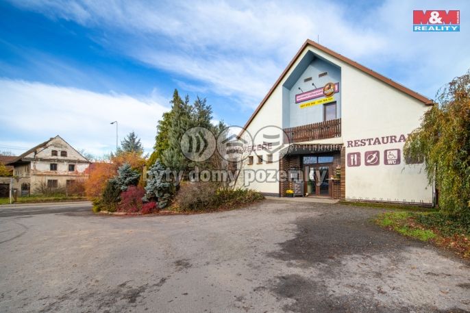 Prodej, Hotel, penzion, Stradouň