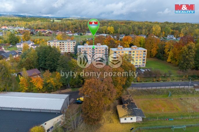 Prodej, Byt 1+1, Svatava