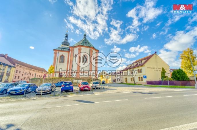 Pronájem, Obchod a služby, Bor