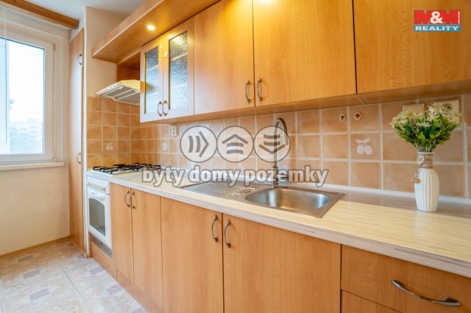 Prodej, Byt 3+1, Hodonín