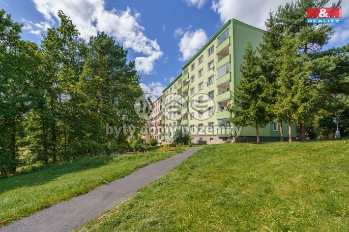 Pronájem, Byt 1+1, Sokolov