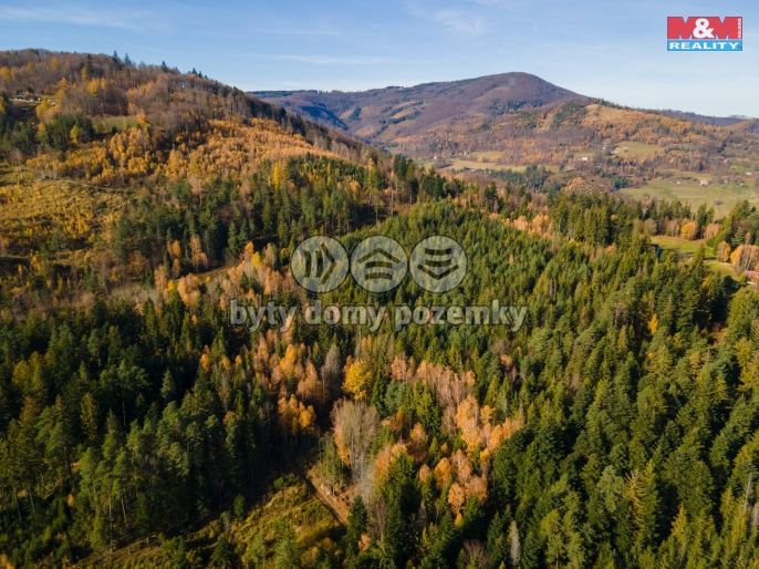 Prodej, Pastvina, Milíkov