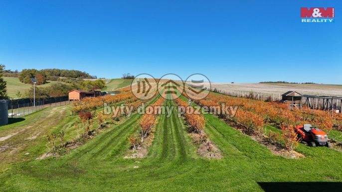 Prodej, Ovocný sad, Fulnek