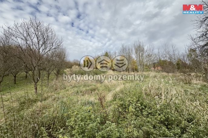 Prodej, Zahrada, Kostelany