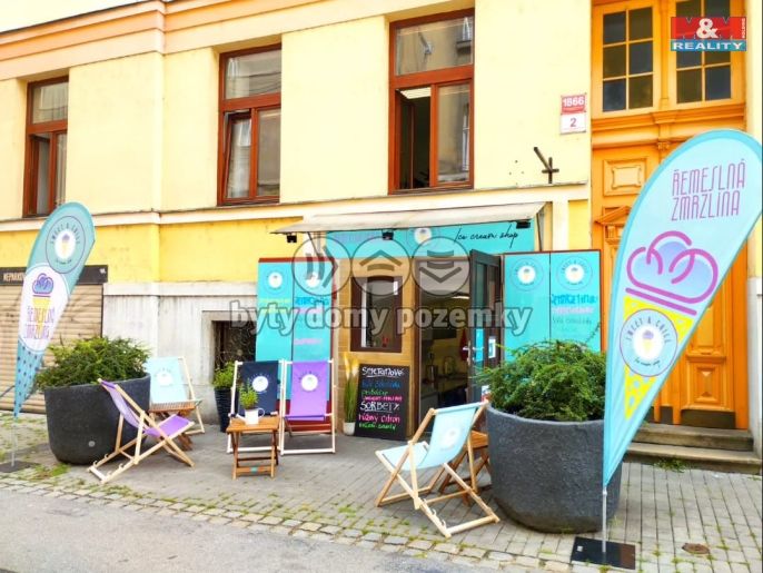 Pronájem, Restaurace, stravování, České Budějovice
