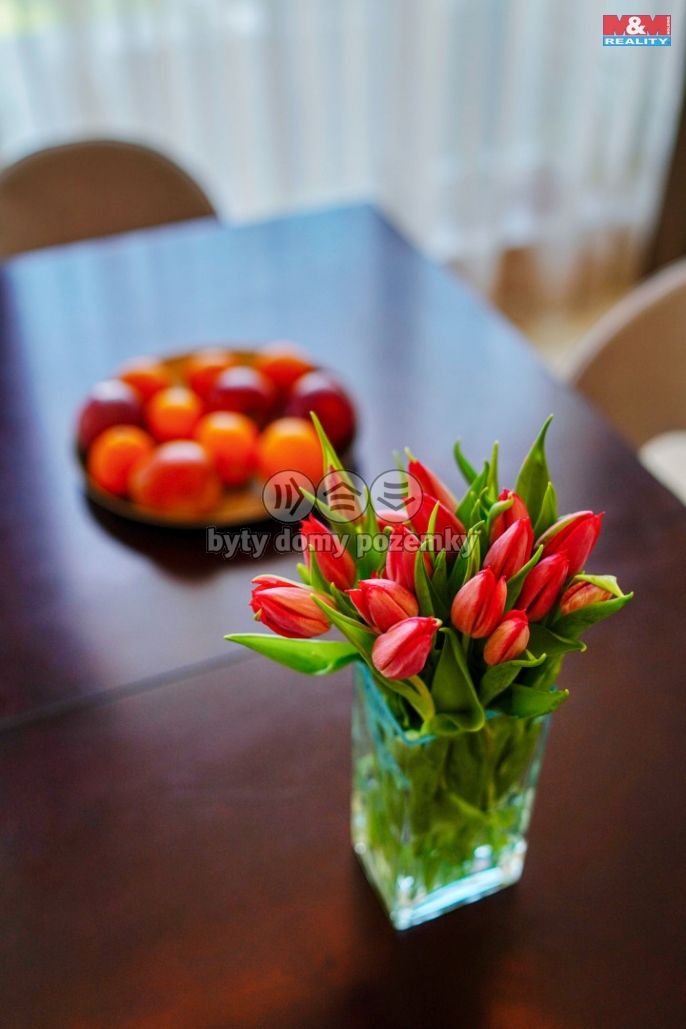 Prodej, Rodinný dům, Plzeň