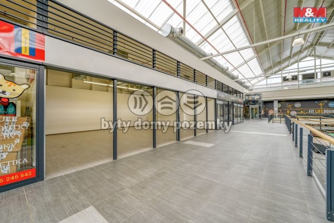 Pronájem, Obchod a služby, Plzeň
