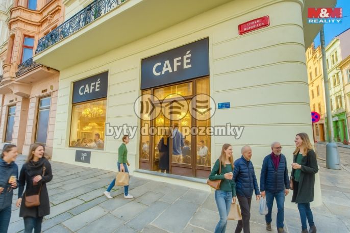 Pronájem, Restaurace, stravování, Plzeň