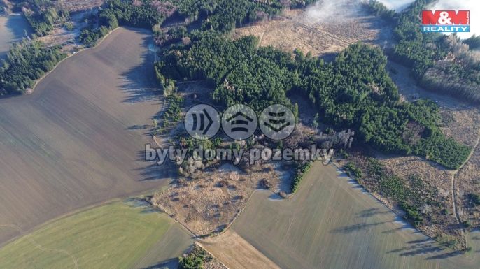 Prodej, Les, Bohdalov