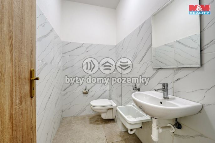 Pronájem, Obchodní objekt, Plzeň