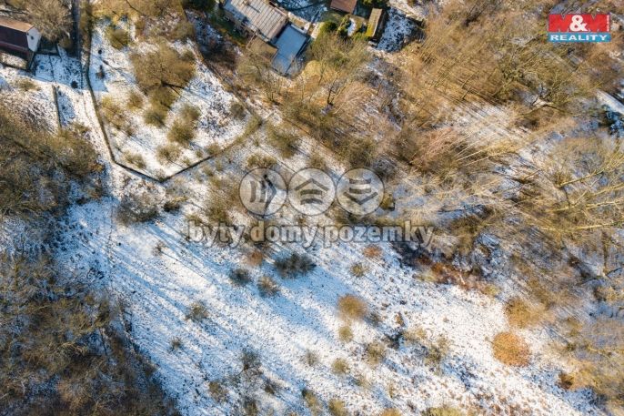 Prodej, Zahrada, Ryjice