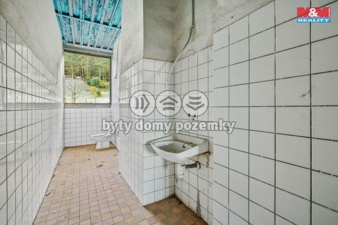 Prodej, Hotel, penzion, Havlovice